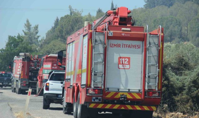 Aliağa'da bir orman yangını daha