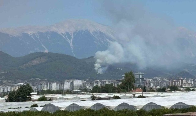 Antalya'da orman yangını