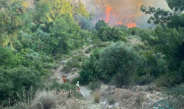 Antalya'da orman yangını