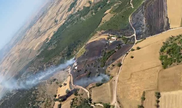 Balıkesir'de orman yangını
