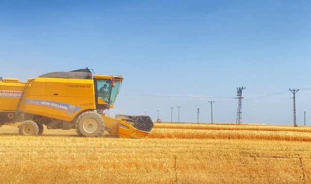 Adilcevaz'da buğday hasadı devam ediyor